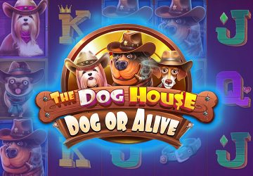 Rich Piggies 2: Bonus Combo
